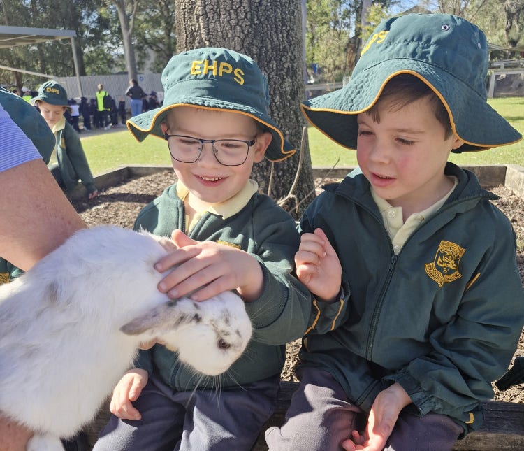 2 kindergarten children patting a rabbit at the farm