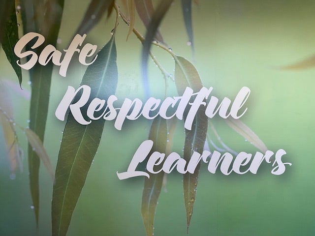 a poster saying safe respectful learners