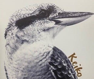 our school totem called Keiko the kookaburra