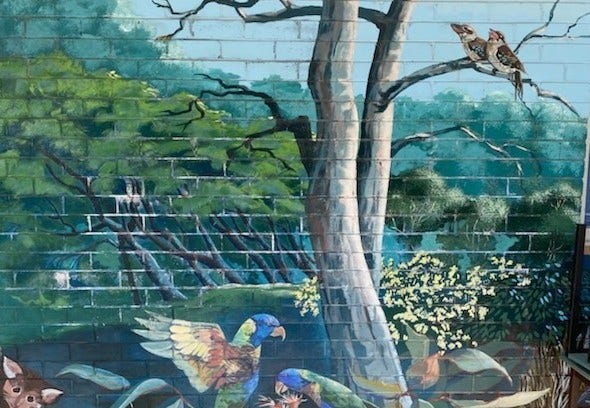 mural of trees, 2 kookaburras and 2 rainbow lorrikeets